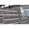 Automatischer / halbautomatischer Geflügel-Ausrüstungs-Schicht-Huhn-Käfig